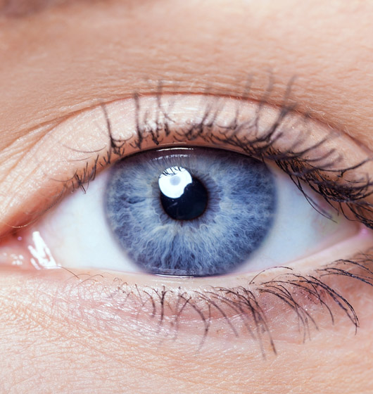 Irisdiagnose in der Heilpraxis von Lindheim